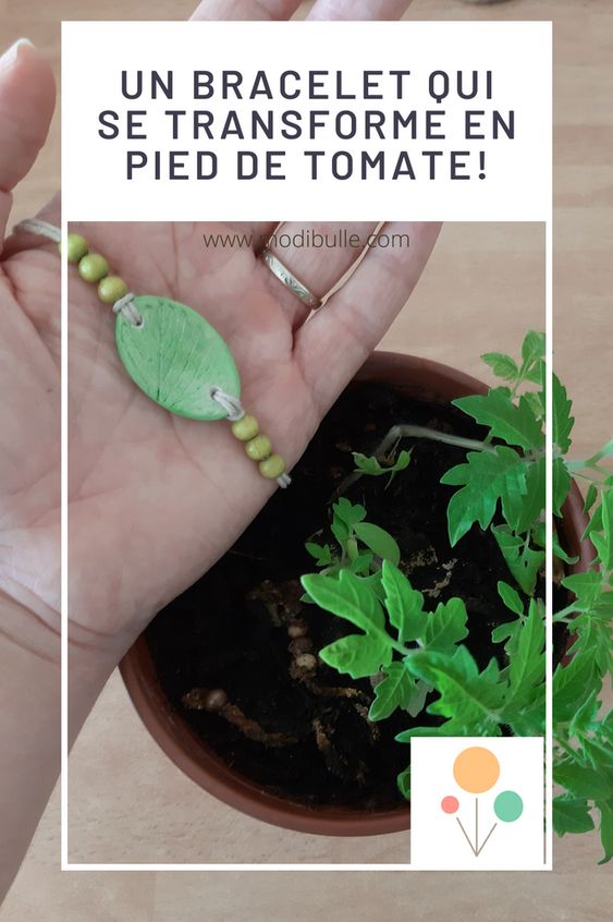 Un bracelet à planter (bijoux à planter) pour obtenir des tomates