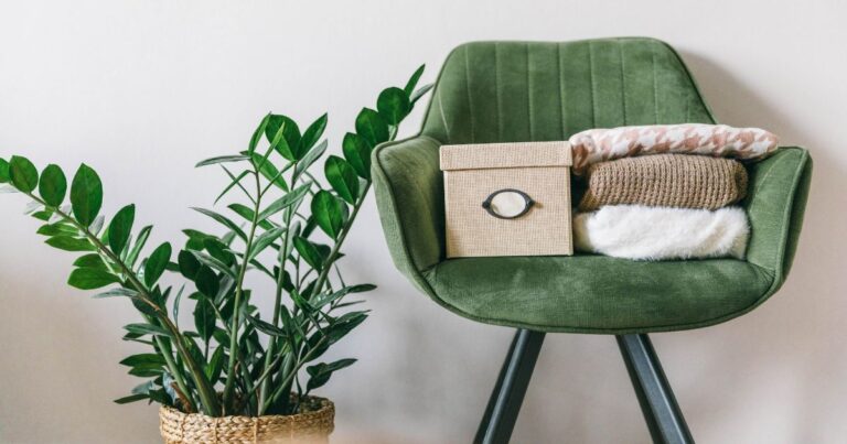 Un appartement rangé après le désencombrement d'octobre - Chaise et plante