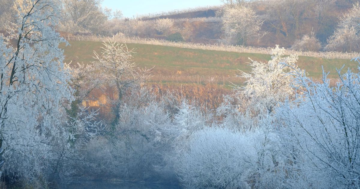 Un beau paysage en hiver, idéal pour des activités Slow Life en hiver, en extérieur