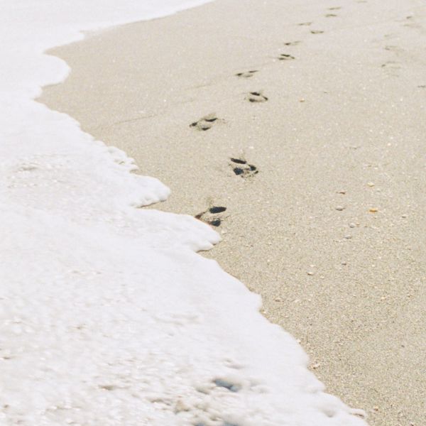 Une promenade sur la plage. Simplifier et ralentir en adoptant la slow life