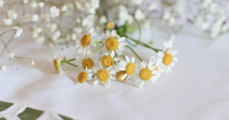30 activités slow life au printemps (fleurs)