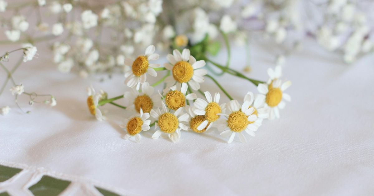 30 activités slow life au printemps (fleurs)